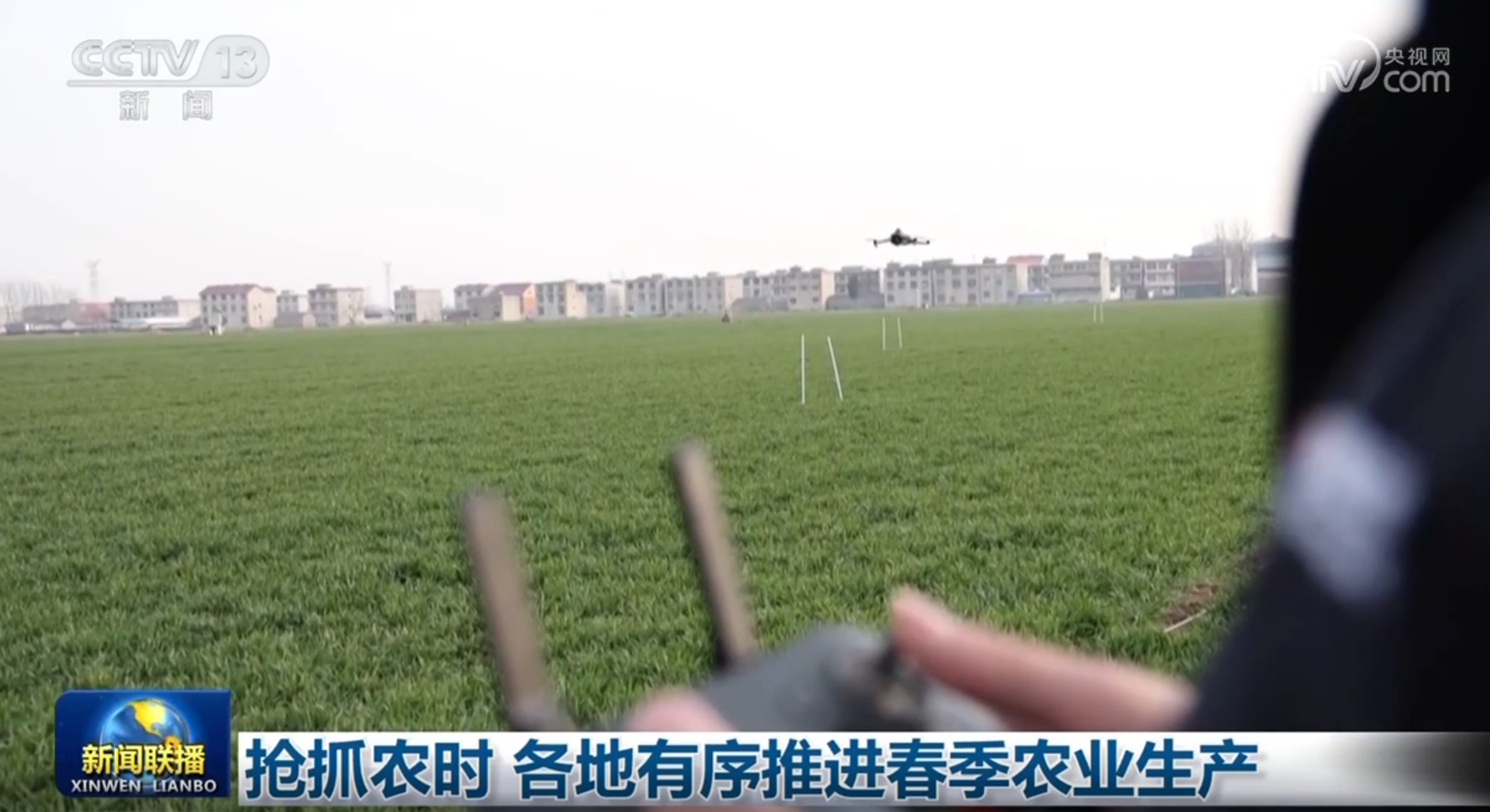 爱和支持